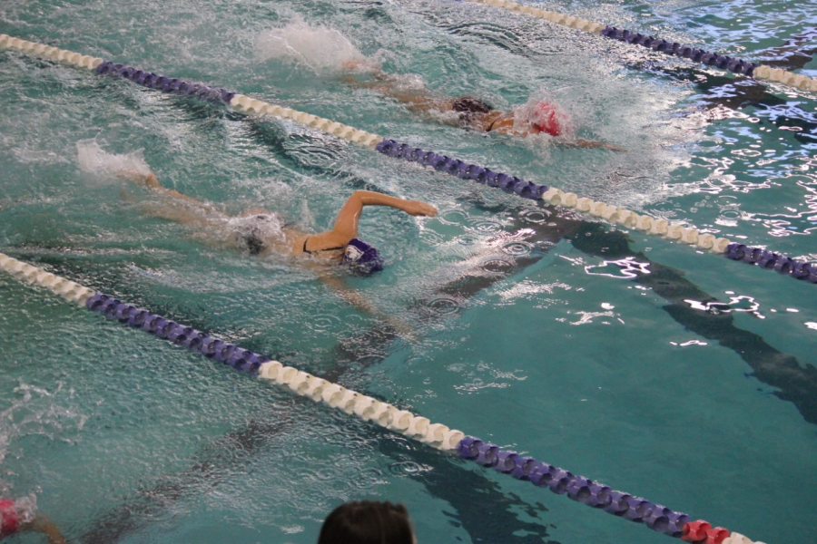CLOSING OUT THE SEASON: Senior Lauren Reising glides through the water in the 50 yard freestyle with  a time 32.30 seconds.