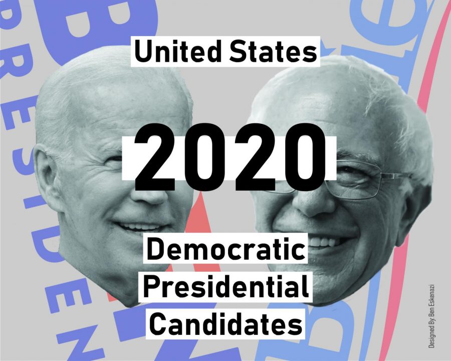 Democratic Presidential Candidates