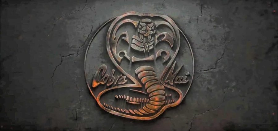 “Cobra Kai” Season Five Leaves Us With More Fun and Cliffhangers 