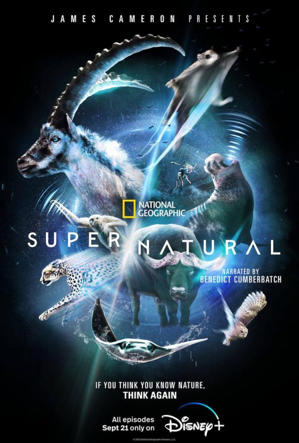 “Super/Natural’s” Episode One Proves Wild Animals Are Like Us 