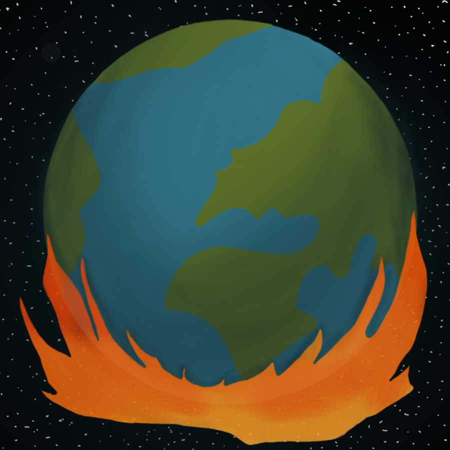 Forest Fires & Global Warming