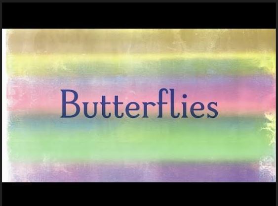 butterflies