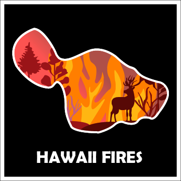 Hawaii Fires