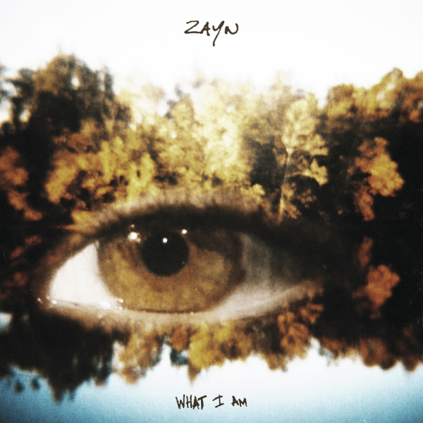 ZAYN’s “What I Am” Brings in a Yearnful Start to Spring